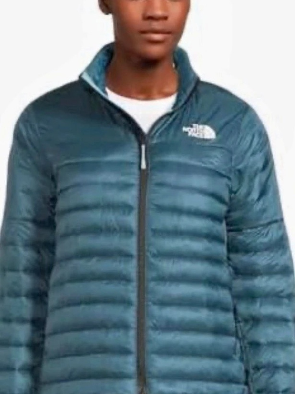 The North Face W Terra Peak Jacket Women's Blue Puffer Jacket Size Large NWT